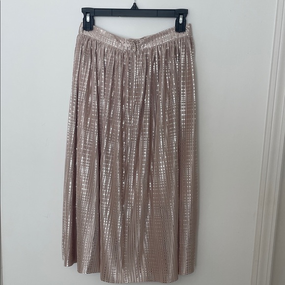 Sabina Musayev Shimmering Beige Midi Skirt - Picture 5 of 7